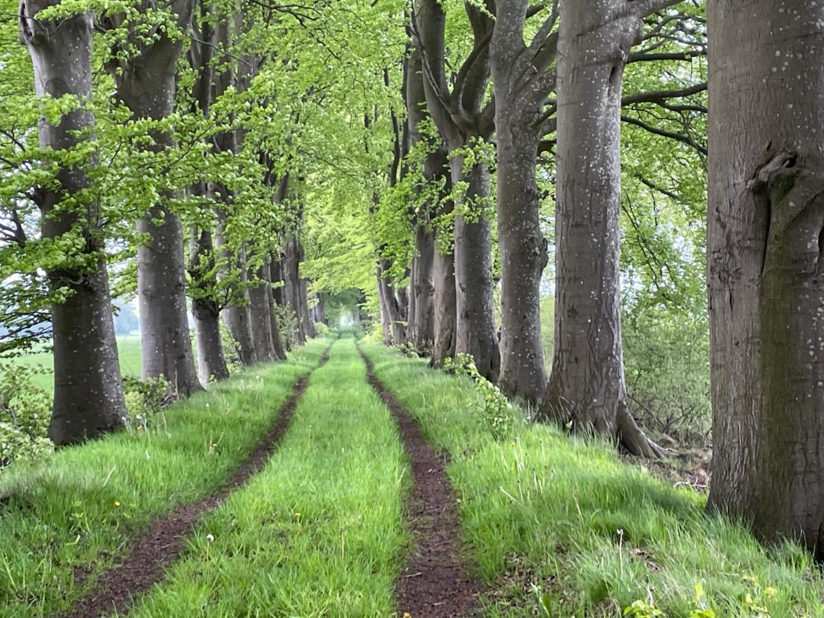 Het Riethuis Holthone Esterno foto