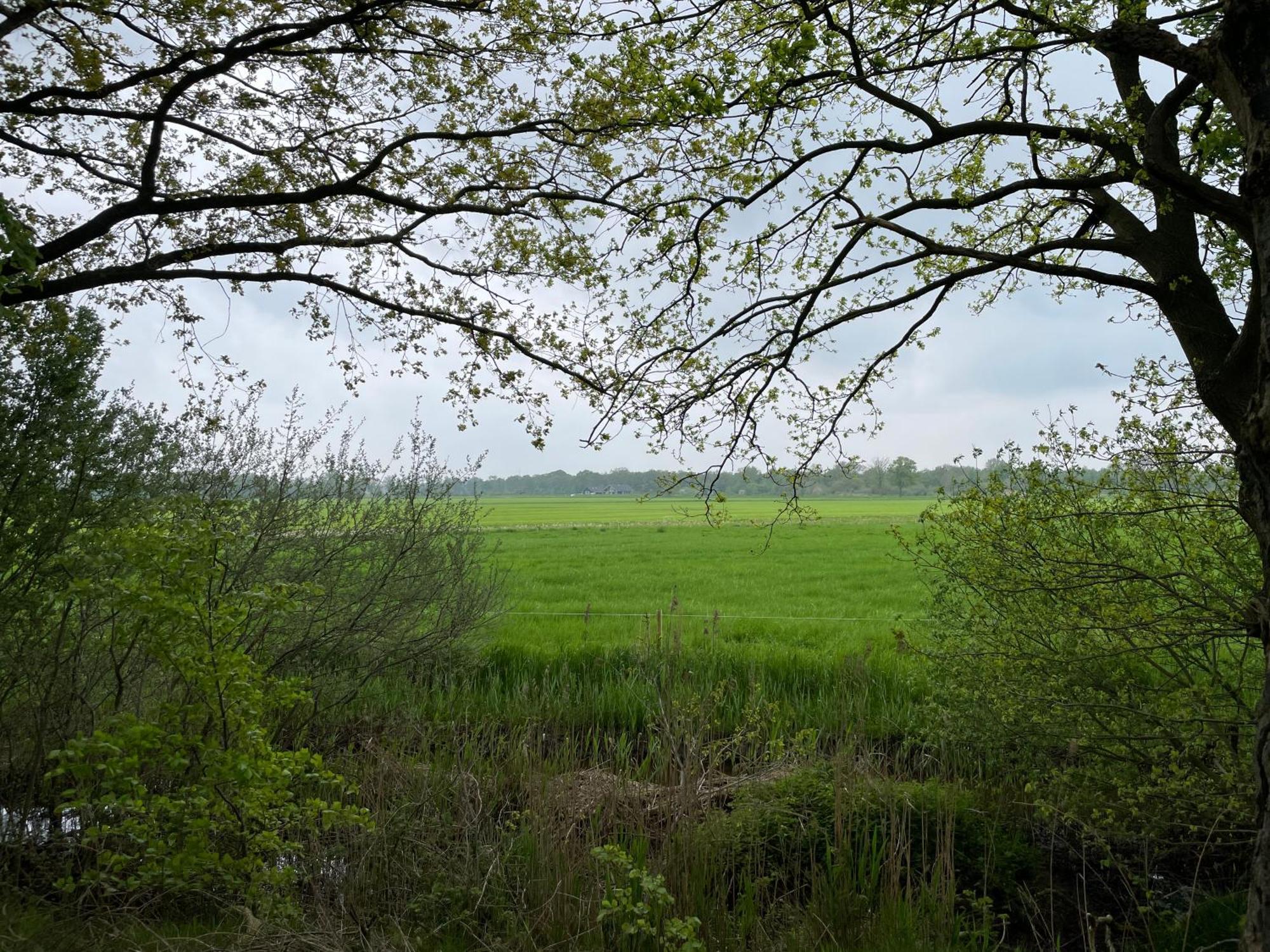 Het Riethuis Holthone Esterno foto